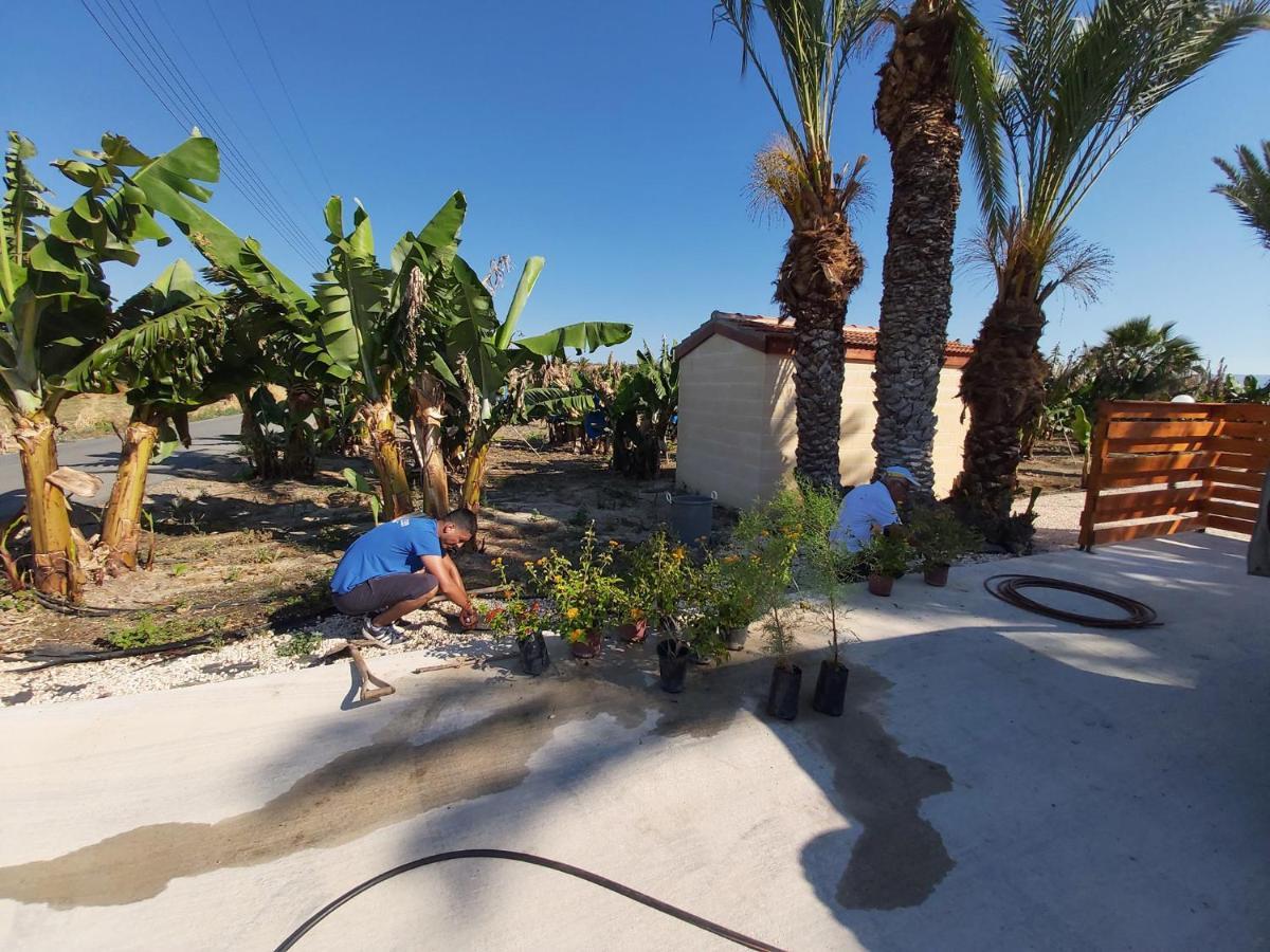 Argaka Palm Tree Apts Kültér fotó